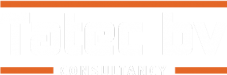 Tatec-Consultancy-wit